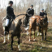 NT Equine horses in action